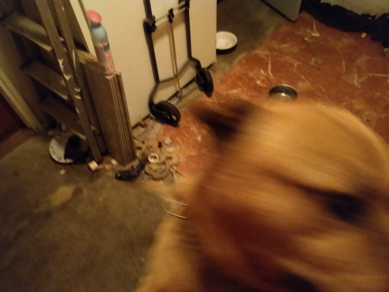 aaaaaaaaaah!